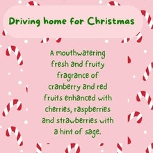 Load image into Gallery viewer, Christmas sizzlers
